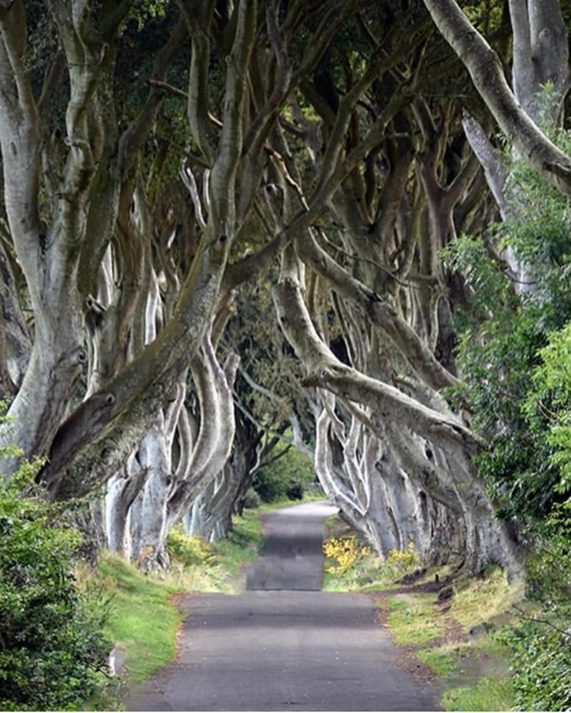Cullentra House Hotel Cushendall Bagian luar foto